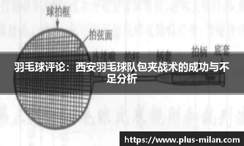 米兰体育官方网站入口