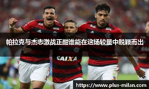 米兰体育官网